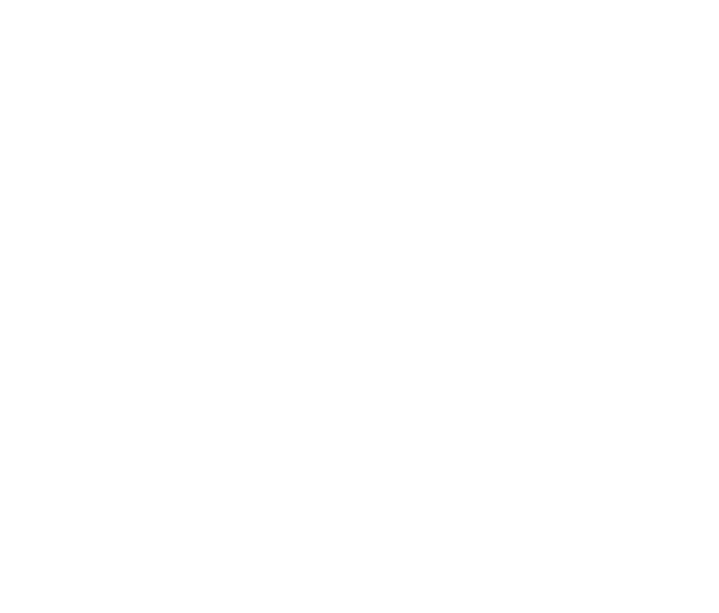 NZoA